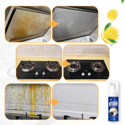 Multi-Purpose Foam Kitchen Cleaner