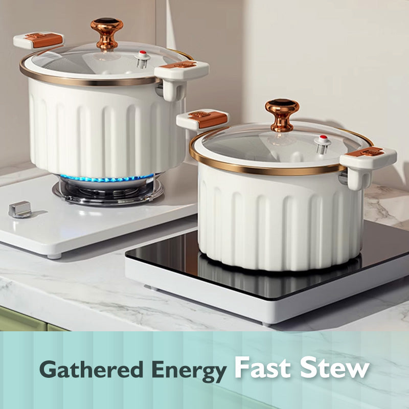 Multifunctional Non-Stick Micro Pressure Cooker